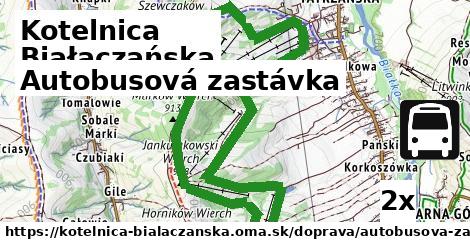 Autobusová zastávka, Kotelnica Białaczańska