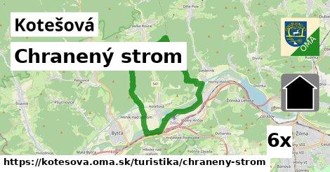 Chranený strom, Kotešová