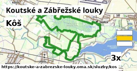 Kôš, Koutské a Zábřežské louky