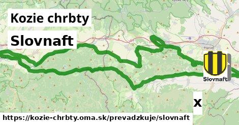 Slovnaft, Kozie chrbty