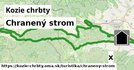 Chranený strom, Kozie chrbty