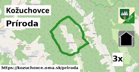 príroda v Kožuchovce