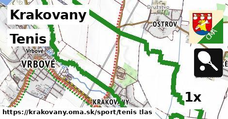 Tenis, Krakovany