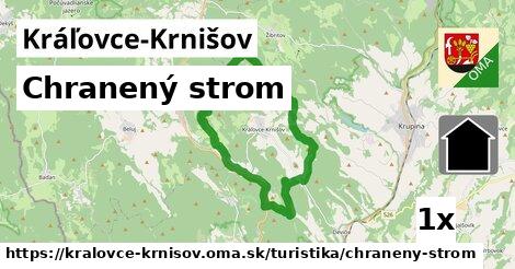 Chranený strom, Kráľovce-Krnišov