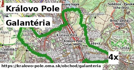 galantéria v Královo Pole