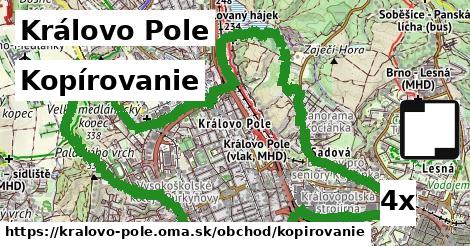 Kopírovanie, Královo Pole