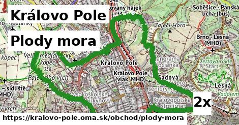 Plody mora, Královo Pole