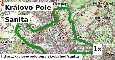 Sanita, Královo Pole