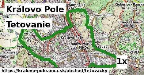 Tetovanie, Královo Pole
