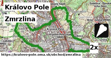 Zmrzlina, Královo Pole