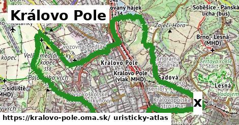 Pamätník, Královo Pole