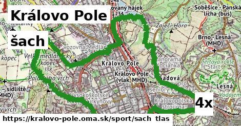 šach v Královo Pole