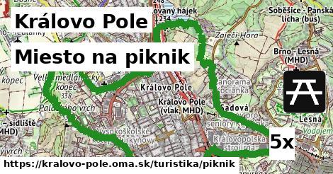 Miesto na piknik, Královo Pole