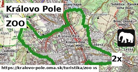 ZOO v Královo Pole