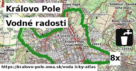 vodné radosti v Královo Pole