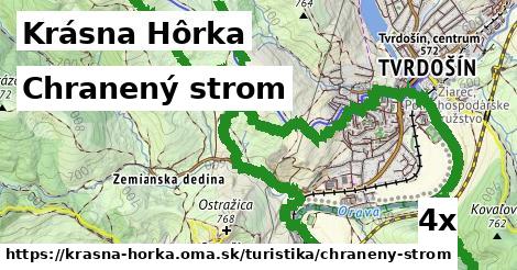 Chranený strom, Krásna Hôrka