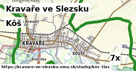 Kôš, Kravaře ve Slezsku