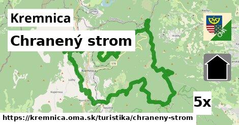 Chranený strom, Kremnica