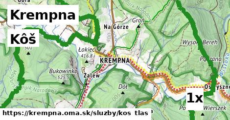 Kôš, Krempna