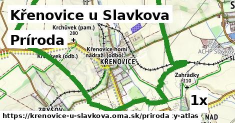 príroda v Křenovice u Slavkova