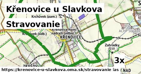 stravovanie v Křenovice u Slavkova