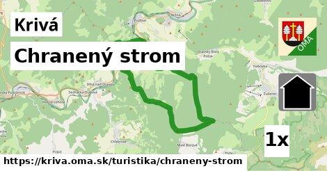 Chranený strom, Krivá