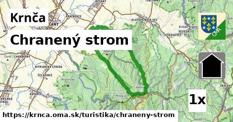 Chranený strom, Krnča