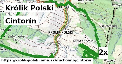 Cintorín, Królik Polski