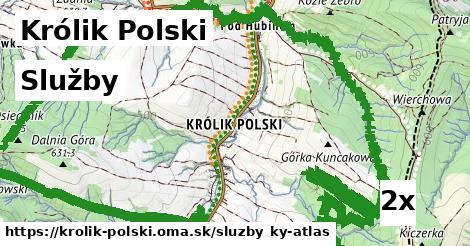 služby v Królik Polski