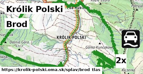 Brod, Królik Polski