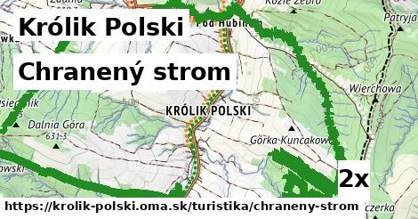 Chranený strom, Królik Polski