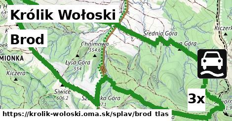 Brod, Królik Wołoski