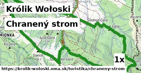 Chranený strom, Królik Wołoski