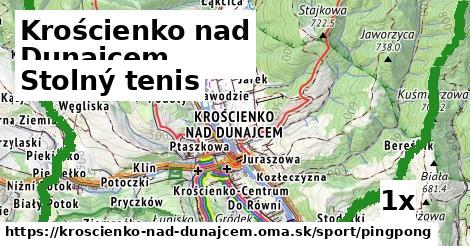 stolný tenis v Krościenko nad Dunajcem