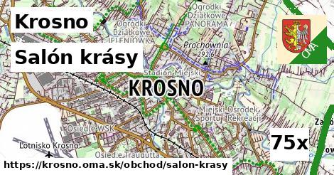 Salón krásy, Krosno