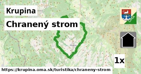 Chranený strom, Krupina