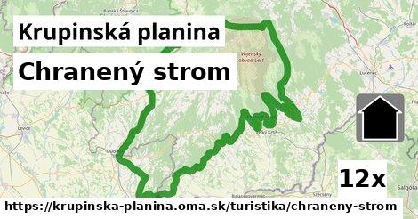 Chranený strom, Krupinská planina