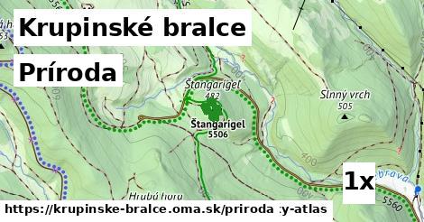 príroda v Krupinské bralce