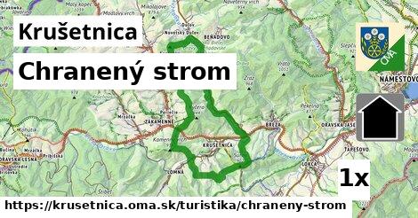 Chranený strom, Krušetnica