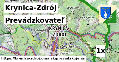 prevádzkovateľ v Krynica-Zdrój