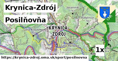 posilňovňa v Krynica-Zdrój