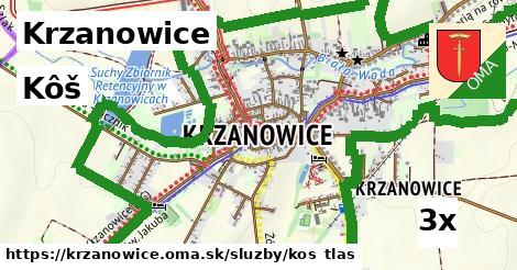 Kôš, Krzanowice