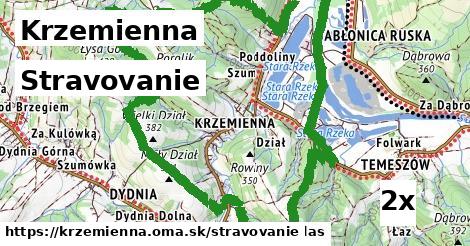 stravovanie v Krzemienna