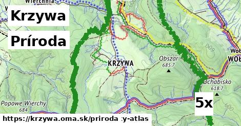 príroda v Krzywa