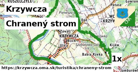 Chranený strom, Krzywcza