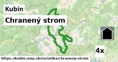 Chranený strom, Kubín