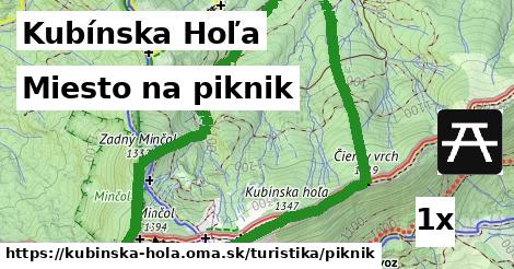 Miesto na piknik, Kubínska Hoľa