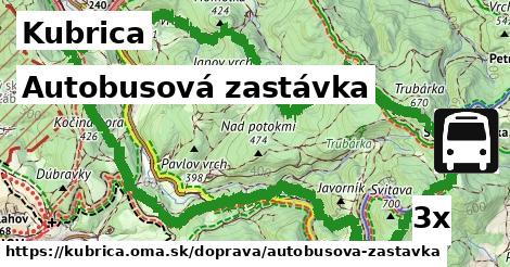 Autobusová zastávka, Kubrica