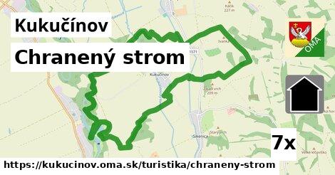 Chranený strom, Kukučínov