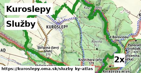 služby v Kuroslepy